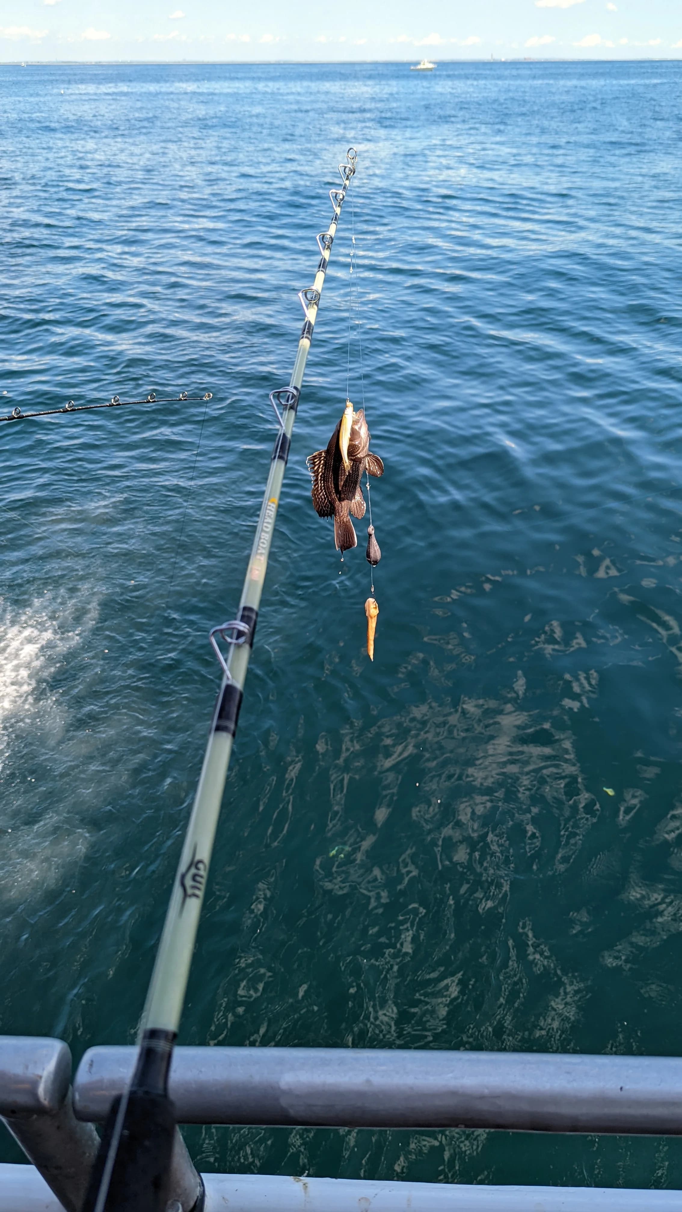 Open water from a boat